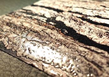 Haptischer UV-Druck einer Birkenrinde