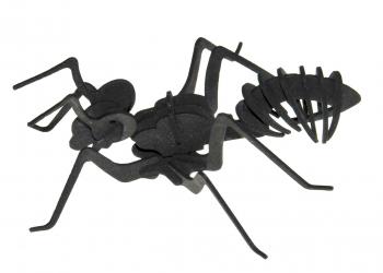 Ameisenmodell lasergeschnitten aus Moosgummi