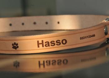 Laserbeschriftetes Leder-Hundehalsband